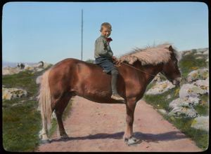 Image of Boy on Pony